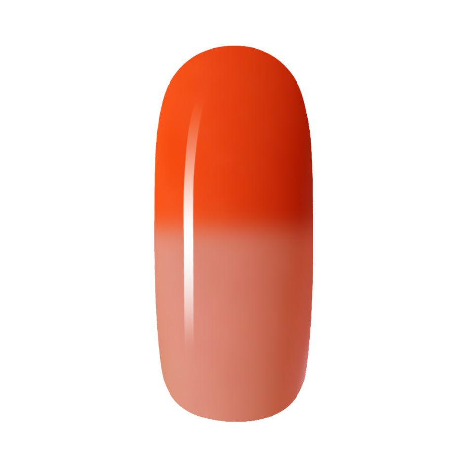 Cookie Dough - T11 15g - Candy Coat