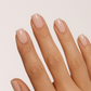 Candy Stix Builder Gloss