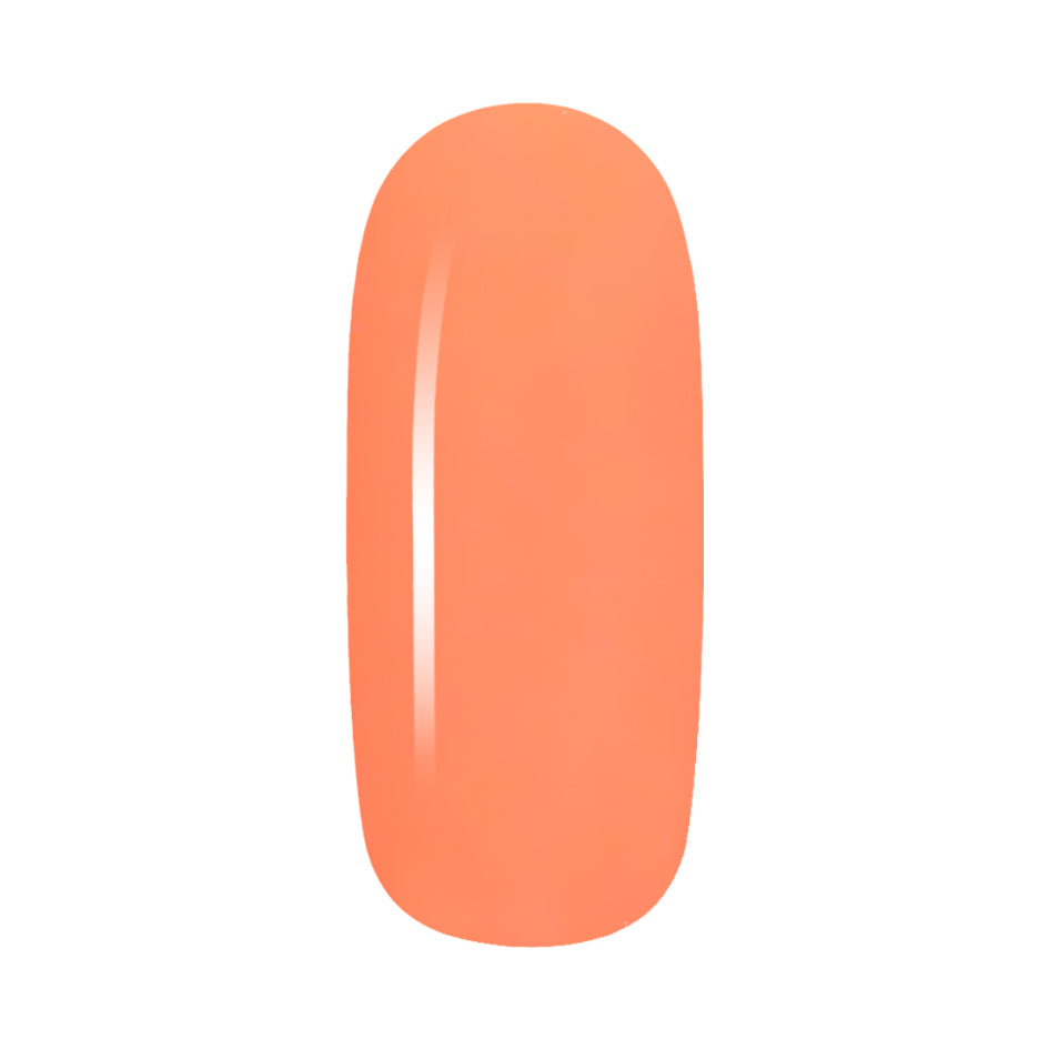 Candy Coat - Paint238 - Candy Coat