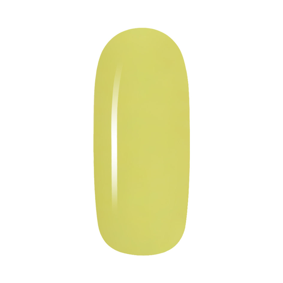 Candy Coat - Paint328 - Candy Coat